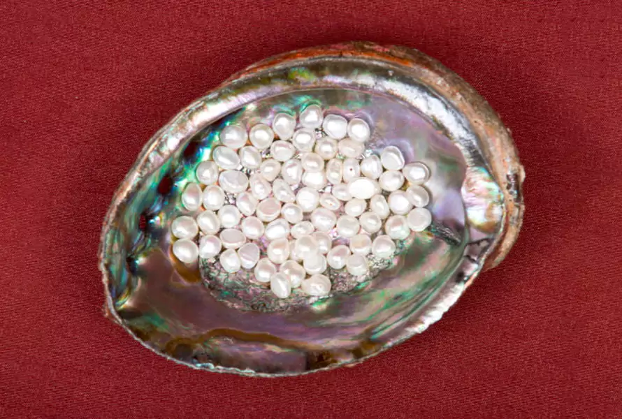Akoya Pearls enamel jewelry