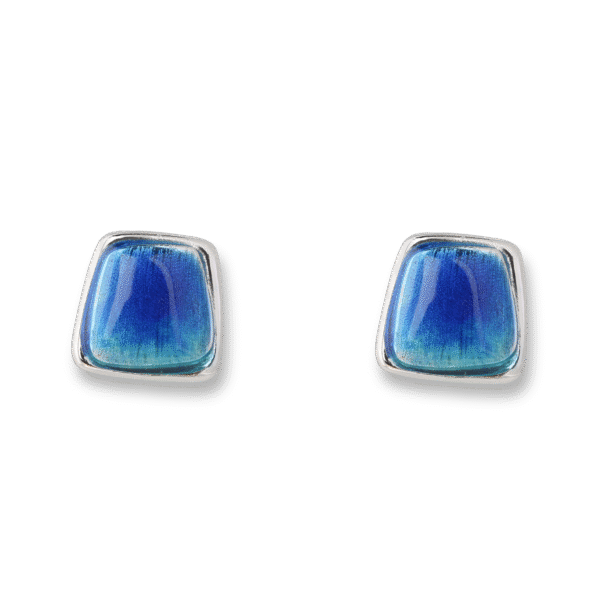 Irregular Trapezoidal Earrings Silver Jewelry