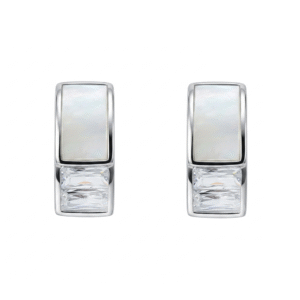 Zirconia Inlaid Earrings